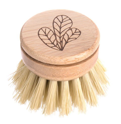 Eco Wilde Bamboo Dish Brush Head